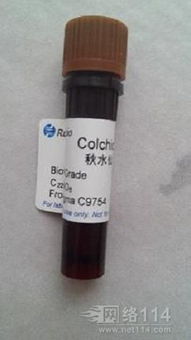 日用化学产品销售的市场前景与策略分析